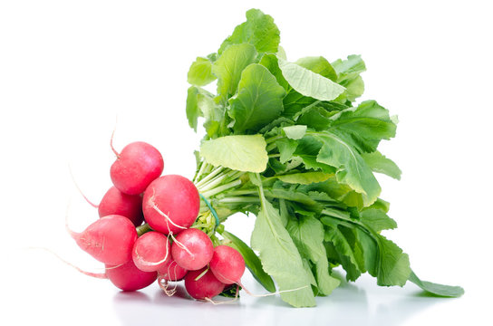 ein Bund Radieschen