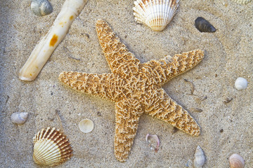 Urlaubserinnerungen © Hans und Christa Ede
