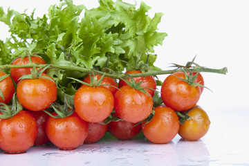 Fresh Cherry Tomatoes and green Salad
