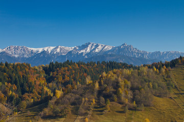 Obraz premium Landscape Carpathians