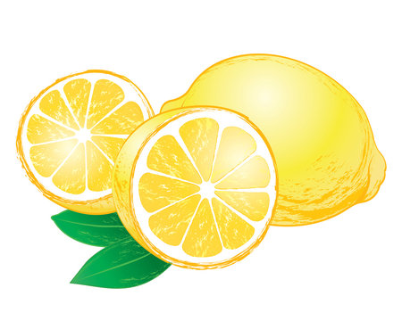 Vector Lemons with leaves