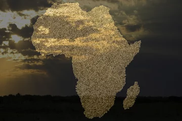 Deurstickers african sunrise © frinz