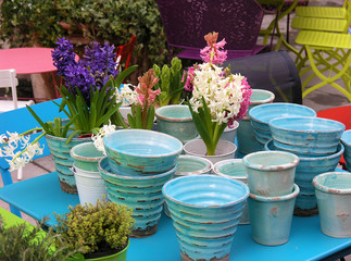 Hyazinthen im Frühling