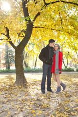 young couple under autumn   tree