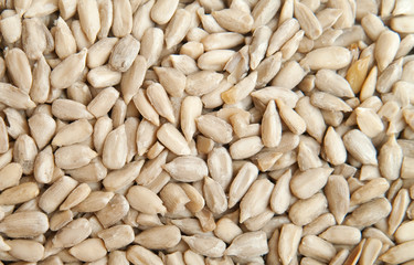 seeds