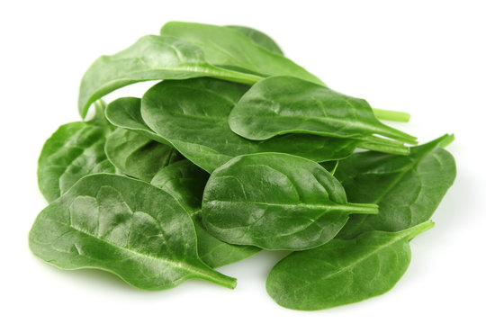 Spinach in closeup