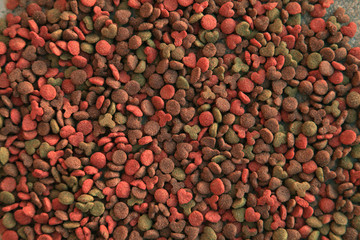 cat food (кошачий корм)