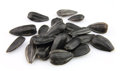 sunflower seed