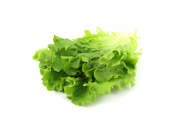 Salad isolated