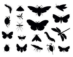 Insects silhouettes collections