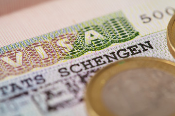 visa and coins