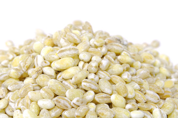 Pearl Barley Close-Up