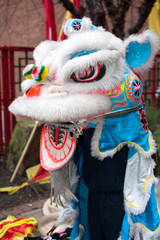celebrating Chinese New Year