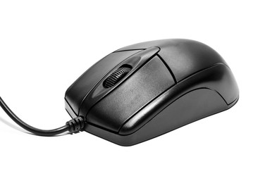 computer mouse