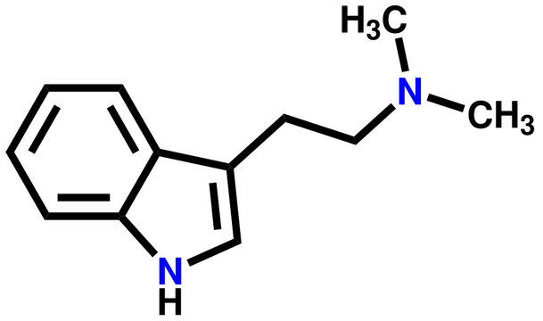 Dimethyltryptamine structural formula