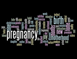 PREGNANCY Tag Cloud (maternity birth pregnant woman mother baby)