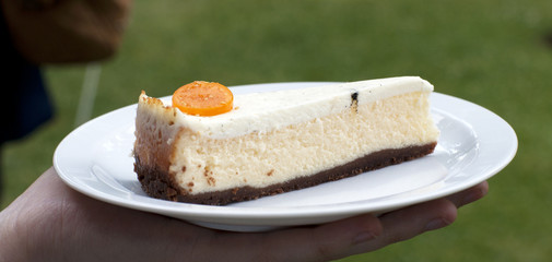 Goat cheese cheesecake with a topping of vanilla pod and soft cr