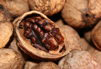 cracked nut