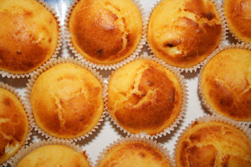 homemade cupcakes