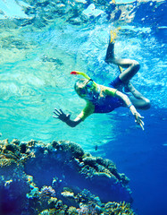 Group of coral fish in  blue water.
