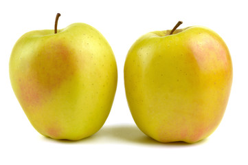 Golden delicious, apple typical of Trentino Alto Adige, Italy