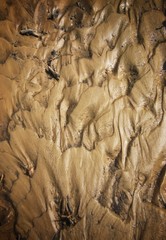 Wet sand texture, bottom of the river