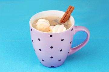 Cup of cappucino with marshmallows and cinnamon