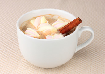 Fototapeta na wymiar Cup of cappucino with marshmallows and cinnamon