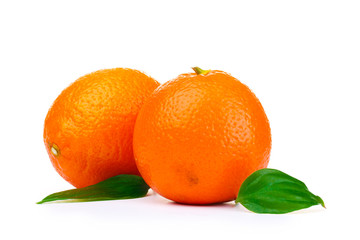 mineola fruits with leafs  isolated on white