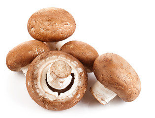 fresh mushroom champignon  isolated on white background