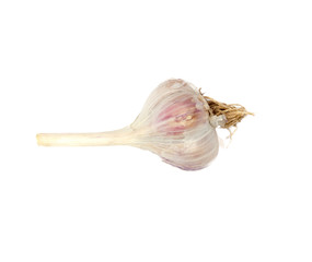 garlic isolated on white background