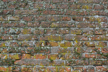 Old wall in Wassenaar, The Netherlands.