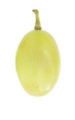 Translucent slice of green grape fruit, macro isolated on white