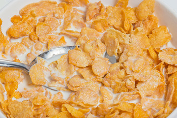 Corn flakes with milk