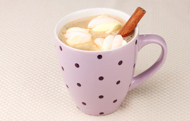 Cup of cappucino with marshmallows and cinnamon