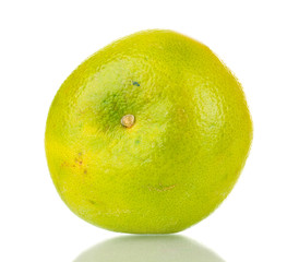 green grapefruit isolated on white