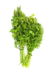 dill and parsley isolated on a white background