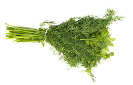 dill and parsley isolated on a white background