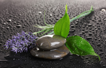 spa stones with water drops, lavender and leaves