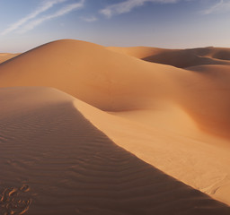Fototapeta na wymiar Dune Desert of Abu Dhabi