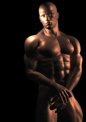 Fototapeta premium hidden