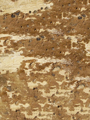background.
