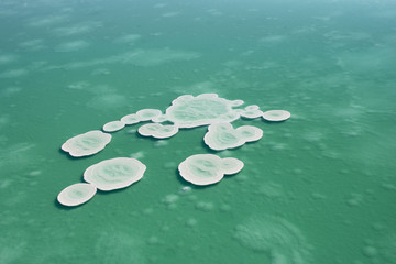 Salt crystals on the surface of Dead sea, Israel