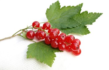Red currants