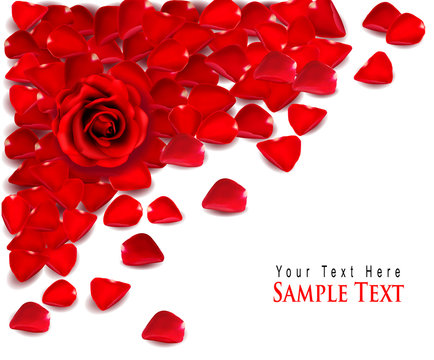 Background of red rose petals and rose. Vector