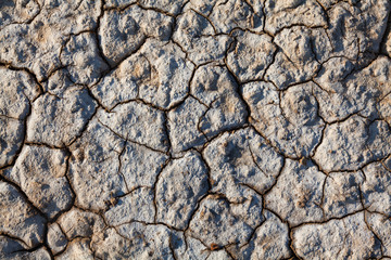 Cracked earth in dry desert.