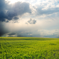 dramatic sky over field