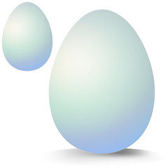 White Egg