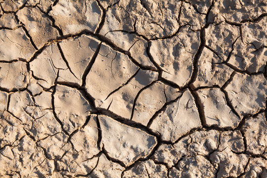Cracked earth in dry desert.