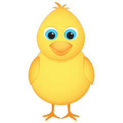 Yellow Chicken isolated on white